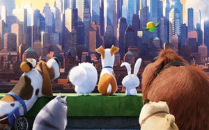 アニメ映画 ペット The Secret Life Of Pets スマホ デスクトップ壁紙画像 おにぎりまとめ アニメ映画 ペット The Secret Life Of Pets スマホ デスクトップ壁紙画像 おにぎりまとめ