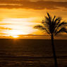一度は行ってみたい(‘-‘*)ハワイの画像集・ハワイ旅行の参考に　HAWAII　Waikiki