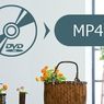 【DVD MP4変換】有料でDVDをMP4にリッピングするソフトおすすめランキング