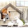 たまらん！うさぎと犬の仲良し画像集