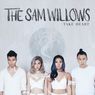 美男美女美声！シンガポール発バンド”The Sam Willows”がめちゃくちゃアツい！