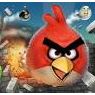 公開日発表！ 世界的大ヒット『Angry Birds』が映画化　海外で話題！