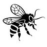 外来種の危険なスズメバチが日本に入ってきているらしい