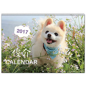 じゃらんのｃｍに出てくる犬がかわいすぎると話題 おにぎりまとめ
