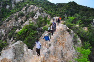 関西 近畿版 日帰り定番ハイキング 登山 春夏秋冬のおすすめ山登りコースまとめ おにぎりまとめ