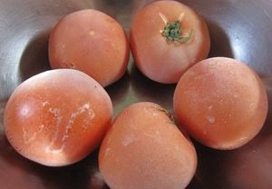 暑い夏を冷たく過ごす ひんやり美味しい 冷凍 まとめ おにぎりまとめ