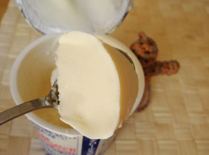 暑い夏を冷たく過ごす ひんやり美味しい 冷凍 まとめ おにぎりまとめ