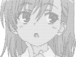 2ちゃんねるで話題 超細かすぎる芸術アスキーアートaaの画像 おにぎりまとめ