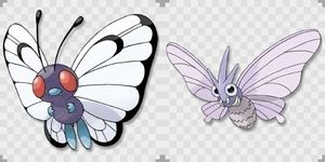 ポケモン モルフォン 画像まとめ おにぎりまとめ