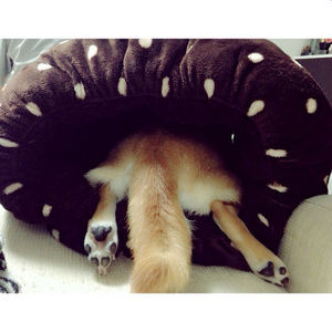 犬をダメにするクッション しまむらホイホイ がすごい おにぎりまとめ