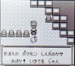 いくつ知ってる ポケモンの都市伝説 100 楽しむシリーズ おにぎりまとめ