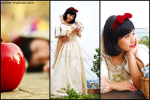 髪型もドレスもボロ服も真似したい ディズニープリンセスコスプレ参考集 おにぎりまとめ