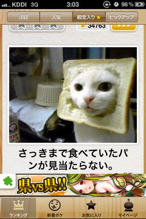 画像 ボケてのネタ画像まとめ 動物編 おにぎりまとめ