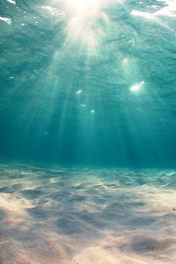 Summer 夏っぽ オシャレ 画像集 おにぎりまとめ