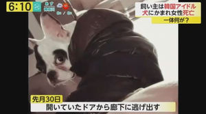 Super Junior シウォンの愛犬に隣人かまれ 敗血症 で死亡 Tvでも話題に おにぎりまとめ