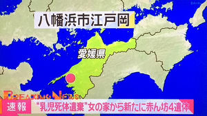 若林映美 八幡浜市乳児連続大量殺人事件 おにぎりまとめ