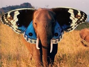 じわじわくる 動物を合体させるとこうなる もしも実在したら おにぎりまとめ