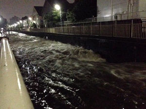 現場画像集 ゲリラ豪雨で善福寺川が氾濫 注意 7月24日 杉並区 おにぎりまとめ 現場画像集 ゲリラ豪雨で善福寺川が氾濫 注意 7月24日 杉並区 おにぎりまとめ