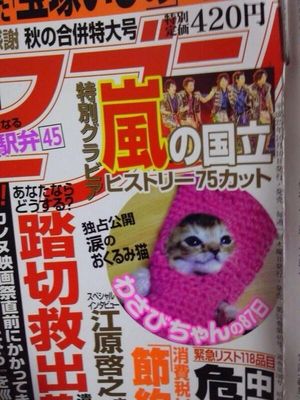 子猫を発見→カラスに襲われている→保護→治療→ネットで応援の声 