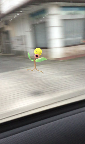 ｸｿﾜﾛﾀ ポケモンgoおもしろ画像 随時更新 おにぎりまとめ