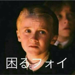 Twitterで盛り上がった ハリーポッター のネタが面白い おにぎりまとめ