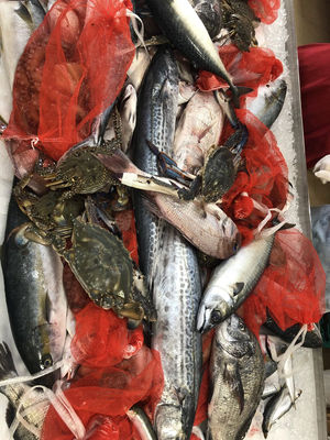 食欲の秋にオススメ 元を取るまでやってみたい 詰め放題 おにぎりまとめ