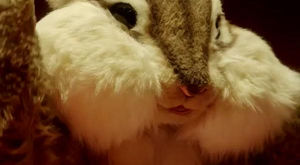 非売品なの ちょリス が可愛くてグッズ欲しすぎると話題 おにぎりまとめ