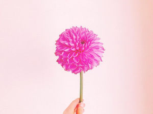 山本紗也加も 元e Girlsの結婚ラッシュに歓喜の嵐 おにぎりまとめ