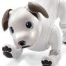 【ロボット】犬型ロボットペットaibo（アイボ）新型の進化が凄まじい！【AI】