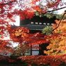 【京都】観光にお役立ち無料iPhoneアプリ１０選