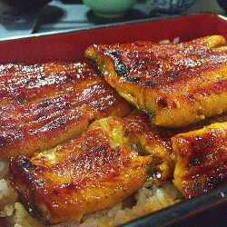 天ぷら 寿司 江戸の大火事が生んだ日本の外食産業 おにぎりまとめ