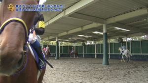 カメラ目線にキュン めっちゃ可愛い レッツゴードンキ おにぎりまとめ