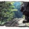 ちょっと変わったデートにおすすめ。癒される「森林鉄道」に乗りたい！
