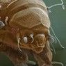 宇宙と生命、最小から最大、人類の発展から未来へ