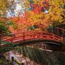 秋の京都を満喫！紅葉とスイーツを巡る旅♡