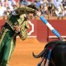 2011年、牛の角が顔面貫通、スペインの人気闘牛士