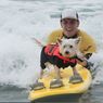 【犬】のサーフィン大会　参加犬数４０匹