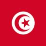 チュニジアの「選挙に行こう！」CMが熱すぎた件