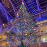 サッポロファクトリークリスマスツリー点灯式　DOBERMAN INFINITYの撮影OKライブも
