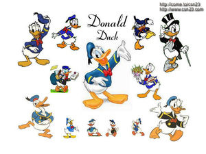 かわいいドナルドダックの壁紙画像集 ディズニー Donald Duck Wallpaper 年賀状 おにぎりまとめ