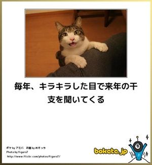 ボケて Bokete で見つけた 思わず笑ってしまうボケネタ集 12年12月版 おにぎりまとめ