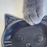 Seria／セリアの「猫皿」の噂を聞いて行ってみたら、ネコだらけで幸せになった♡ | 100均