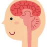 脳リンパ腫「中枢神経系原発悪性リンパ腫（PCNSL）」とは
