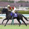2019　秋華賞　優勝馬クロノジェネシスの父系を最後までさかのぼる